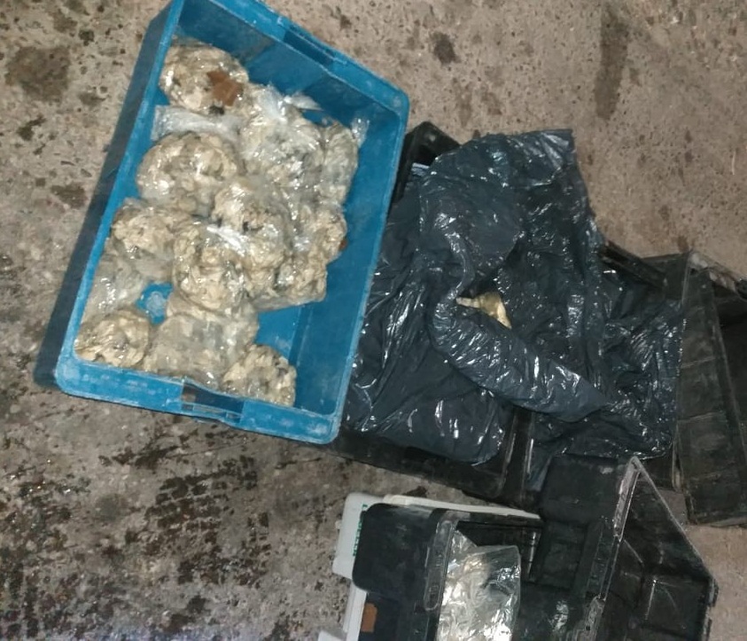Chichinales: decomisan casi 500 kilos de ostras durante un control vehicular