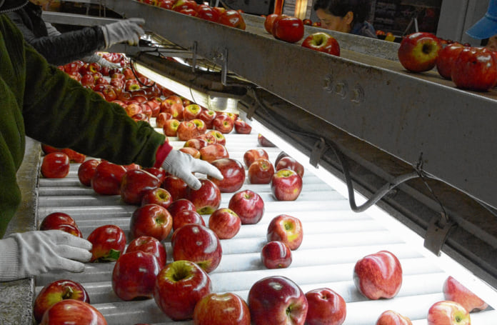 Se dictará el curso de embalador frutícola en Huergo