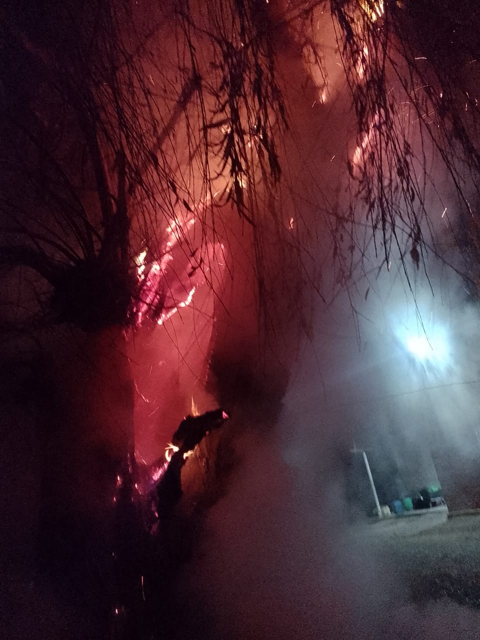 En Huergo se pudo evitar que el fuego afecte un invernadero