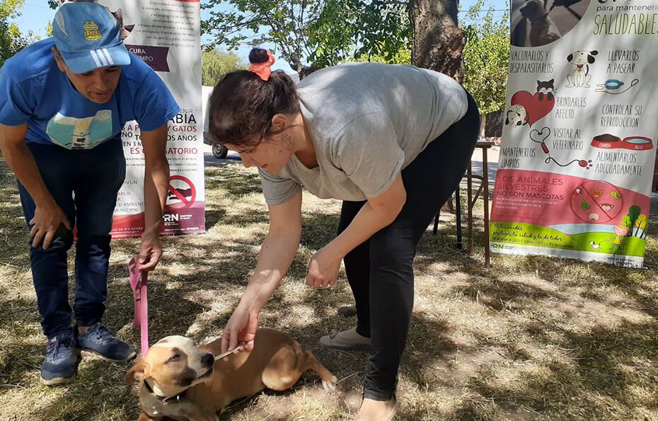 Vacunación antirrábica y desparasitación de mascotas en barrio Santa Rita