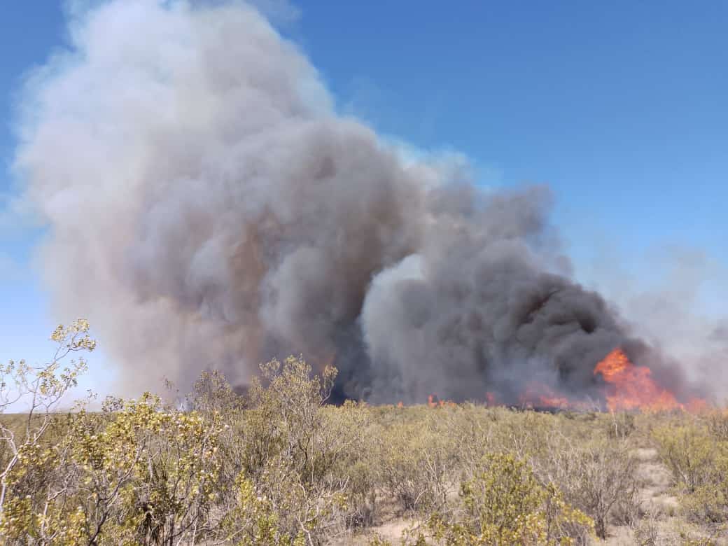 Tras 3 días de intensa labor, los bomberos lograron extinguir el incendio en Valle Azul