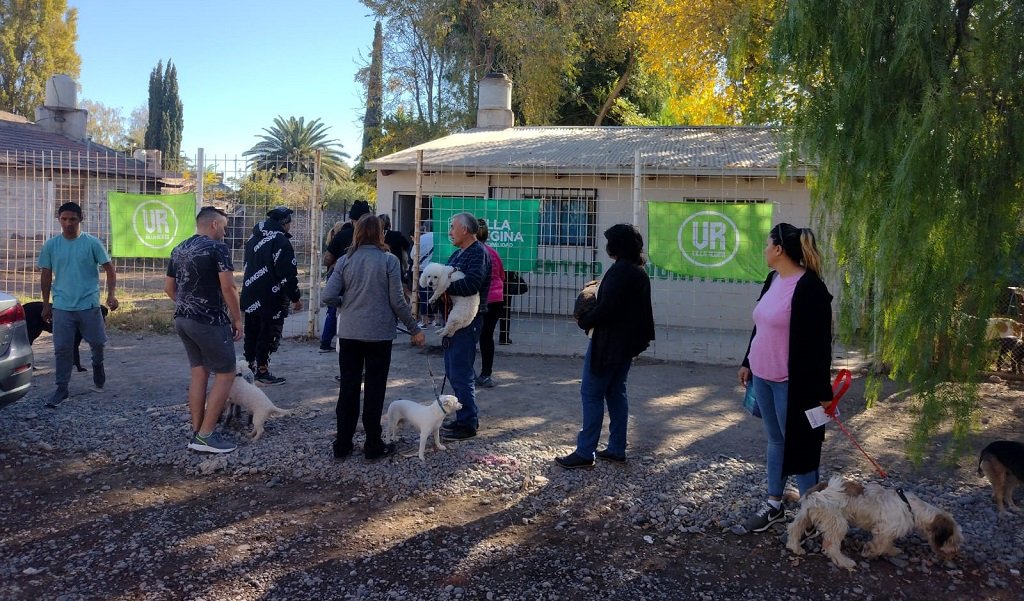 Desparasitación y vacunación antirrábica de perros y gatos en el barrio Don Bosco
