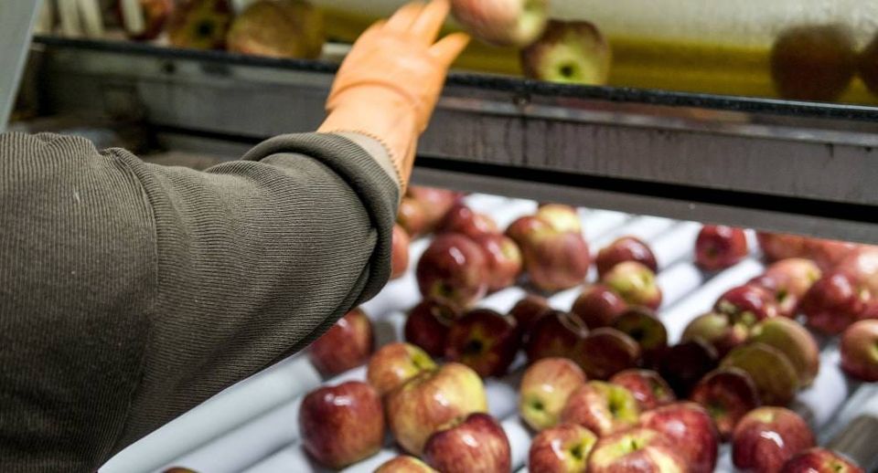 Aumento del 55 % para los trabajadores de la fruta