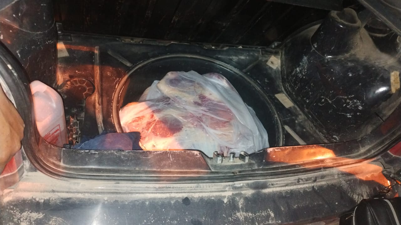 Decomisan carne que era transportada de forma irregular y en un auto