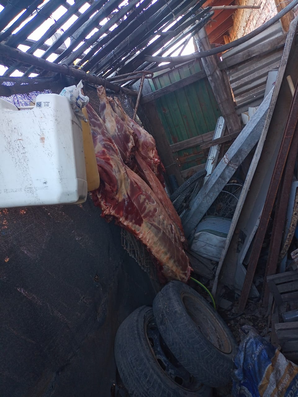 Abigeato en Valle Azul: en un allanamiento encontraron más de 100 kilos de carne