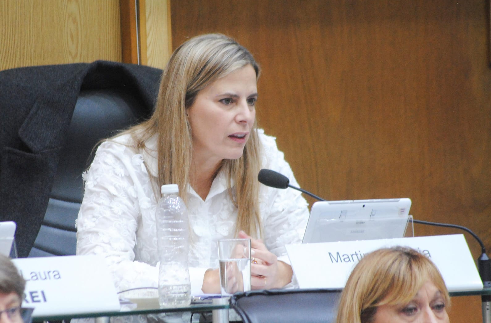 Dura respuesta de Lacour a Ibarrolaza, McKidd y Domínguez: “No van a trabajar a las comisiones, no leen los proyectos”