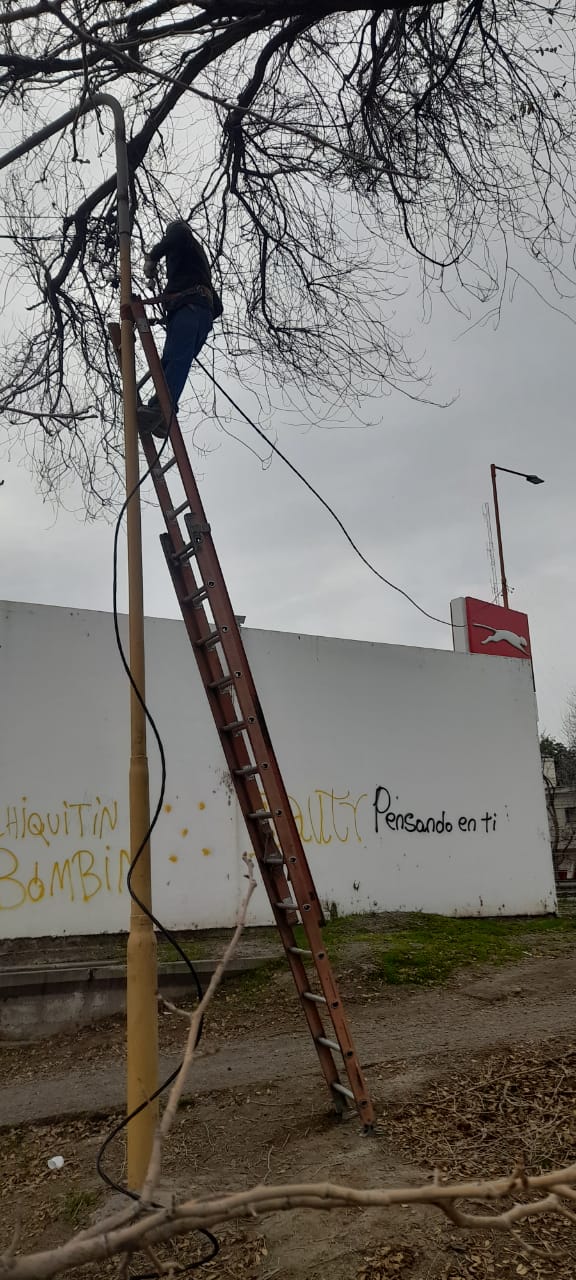 Se repuso lo robado en el Paseo del Arroyo