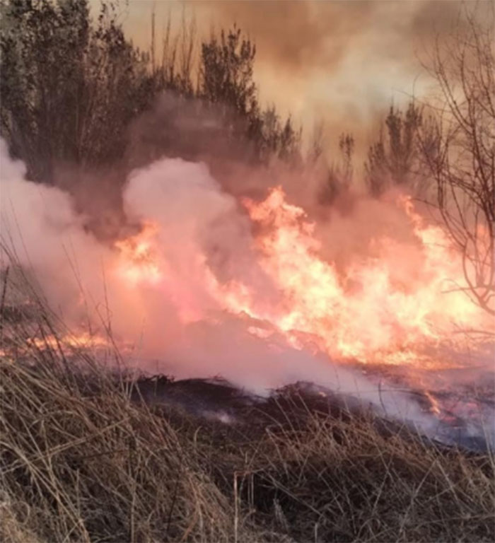 Un bombero sufrió quemaduras tras una intensa labor para combatir un incendio forestal