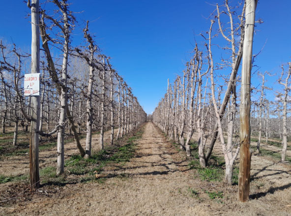 El clima: empezamos con sol, seguimos con el calor y terminamos con nubosidad