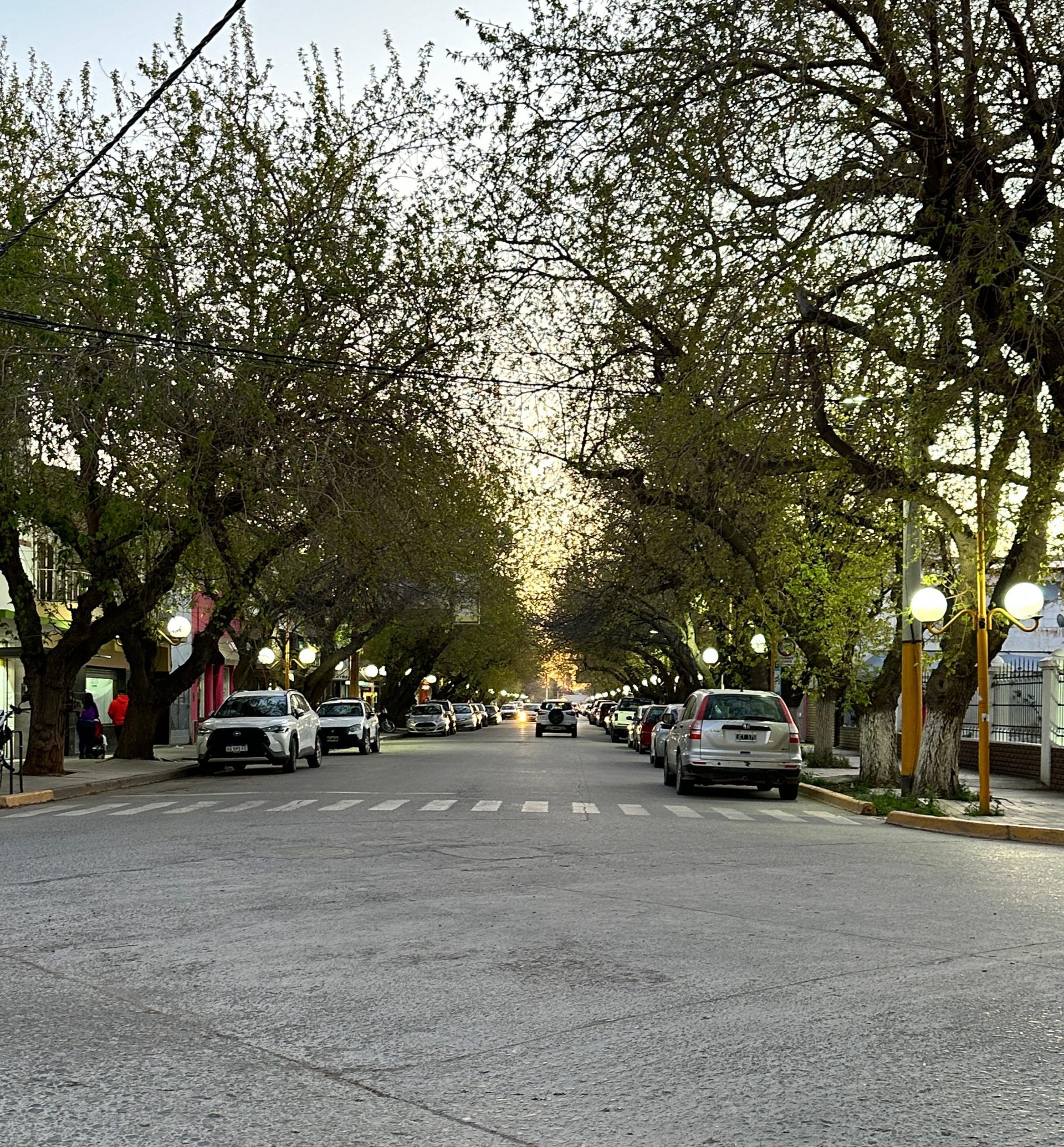 El clima: linda temperatura tendremos este sábado