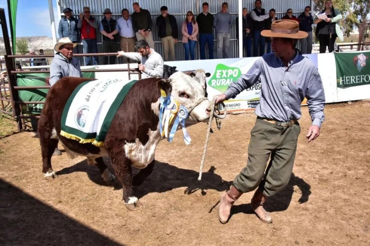 Expo ganadera de Paso Córdoba: qué propuestas tienen hoy en el predio ferial