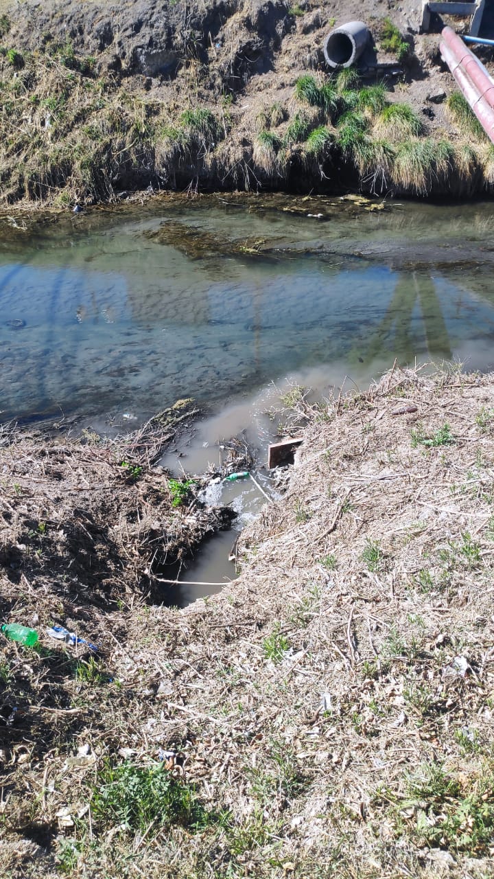 «El olor es muy fuerte y aparentemente estarían tirando residuos cloacales al arroyo Salado»