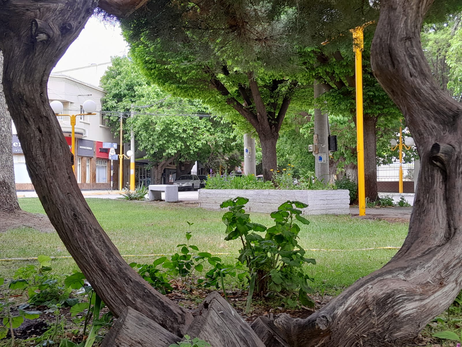 El clima: jueves soleado, cálido y con vientos en aumento