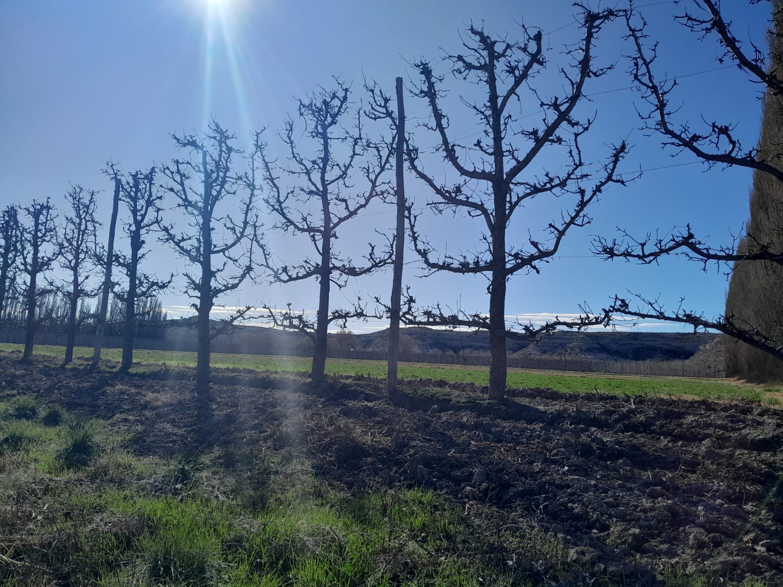 El clima: desciende la temperatura y vuelve el viento