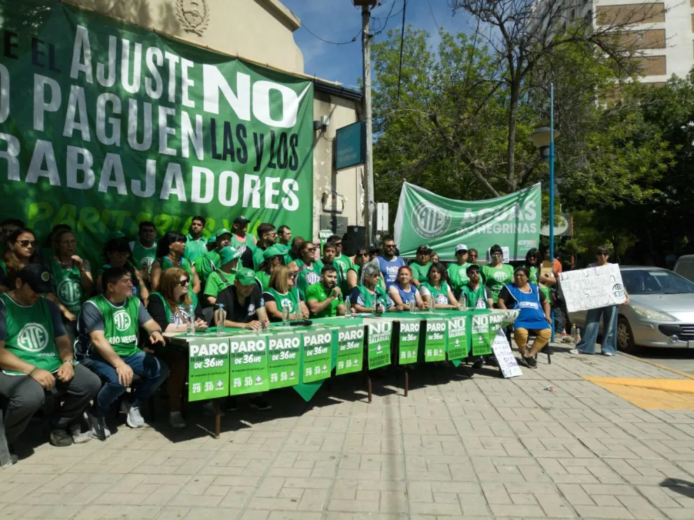 Paro de ATE en Río Negro: cómo funcionarán los organismos públicos, salud, servicios generales y vuelos