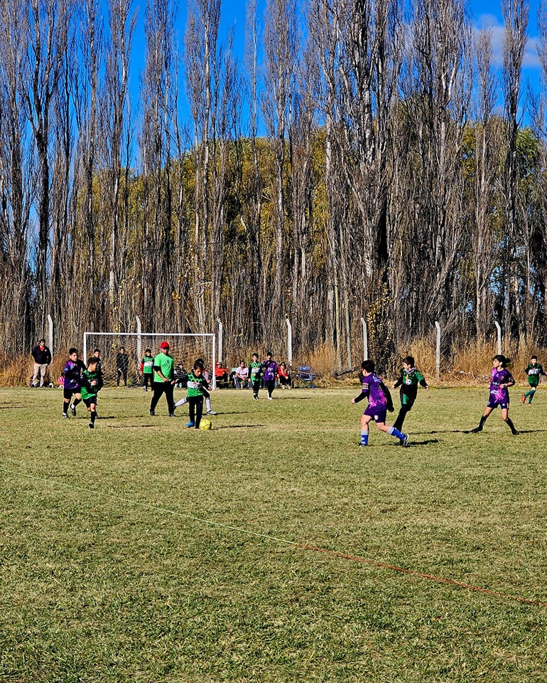 Qué pasó con el torneo de la Liga Municipal de Fútbol Infantil