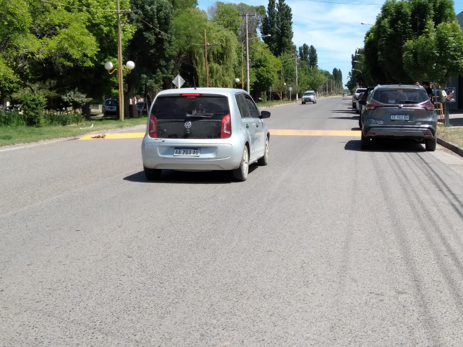 Pintaron reductores de velocidad por reclamo de vecinos