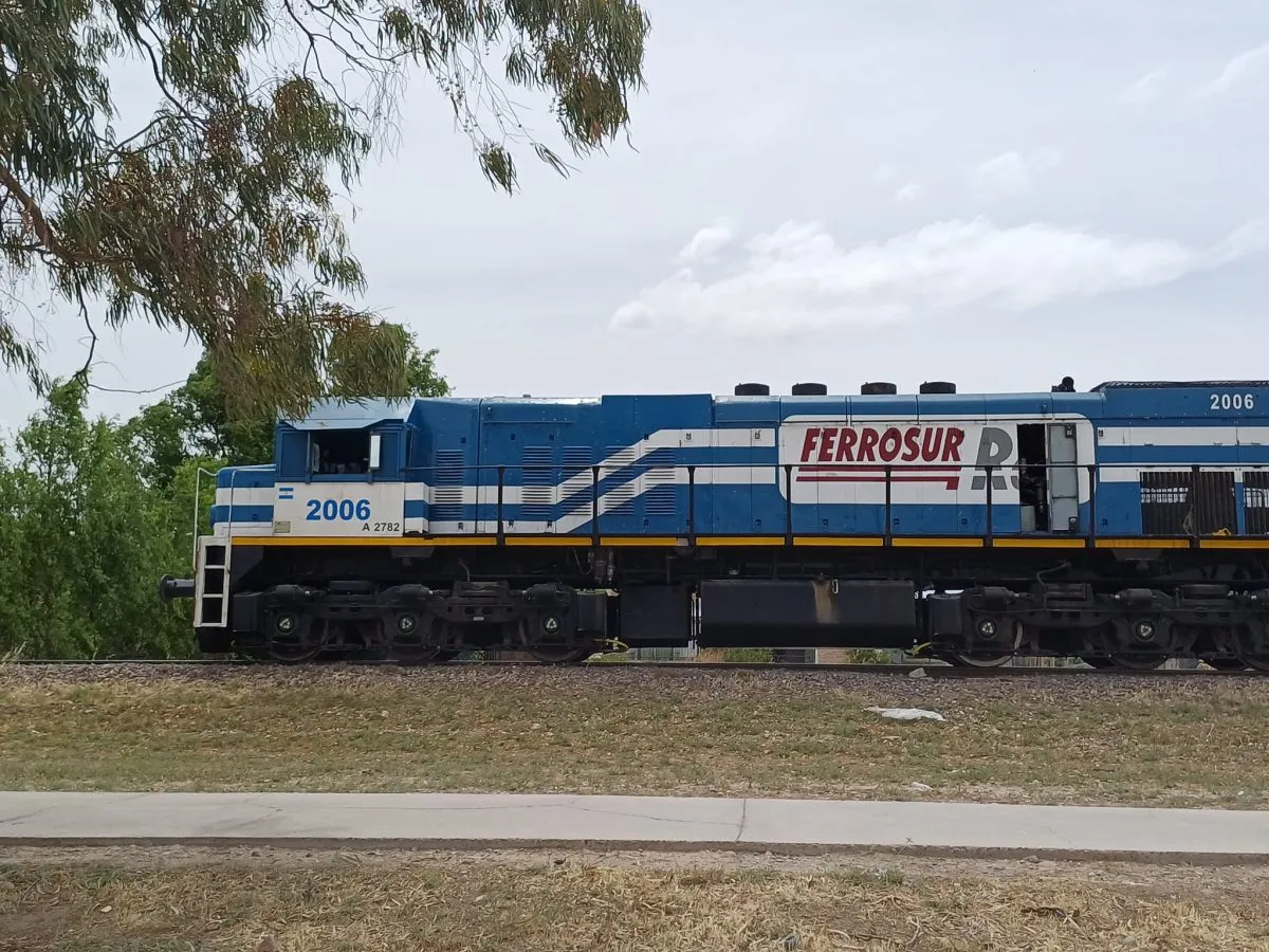 Un joven se salvó de milagro luego de ser embestido por el tren